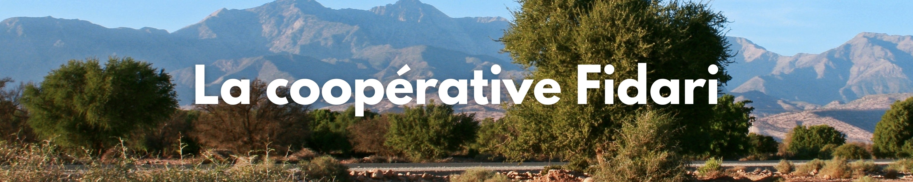 La Coopérative Fidari