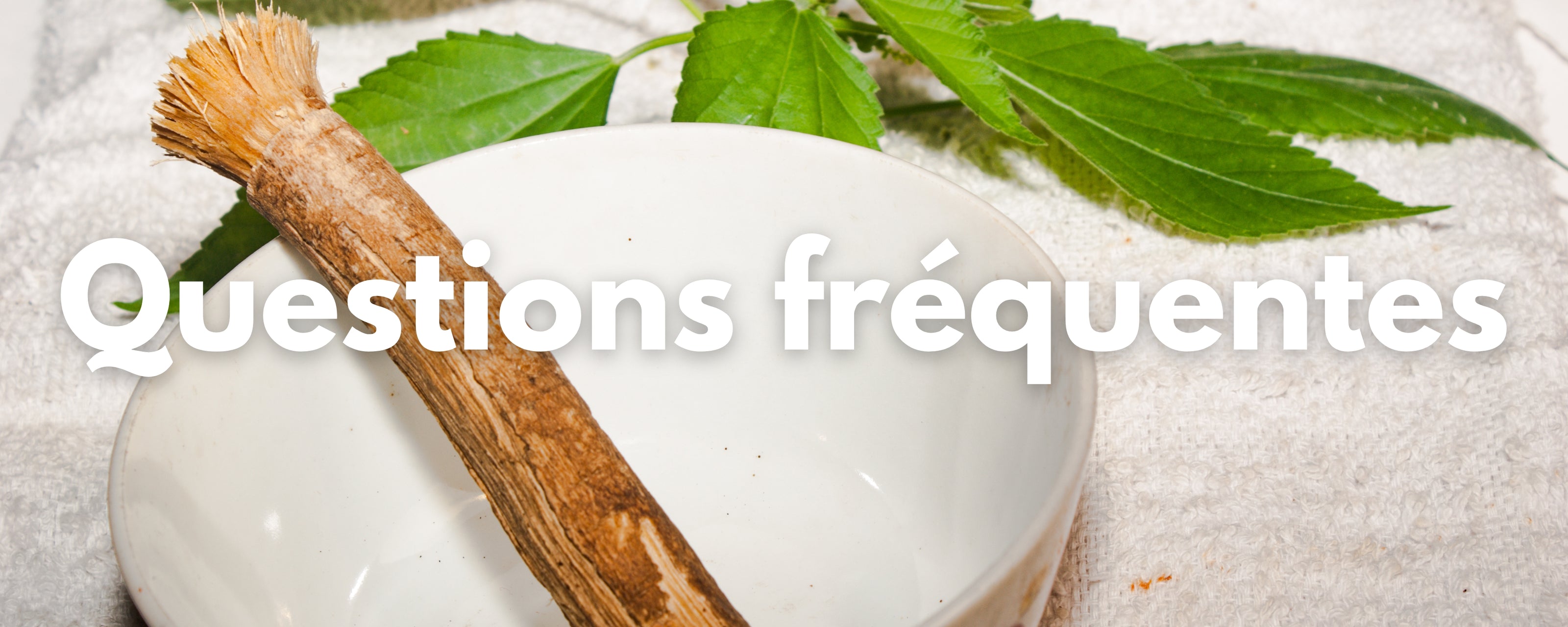 Questions fréquentes dentifrice siwak charbon actif