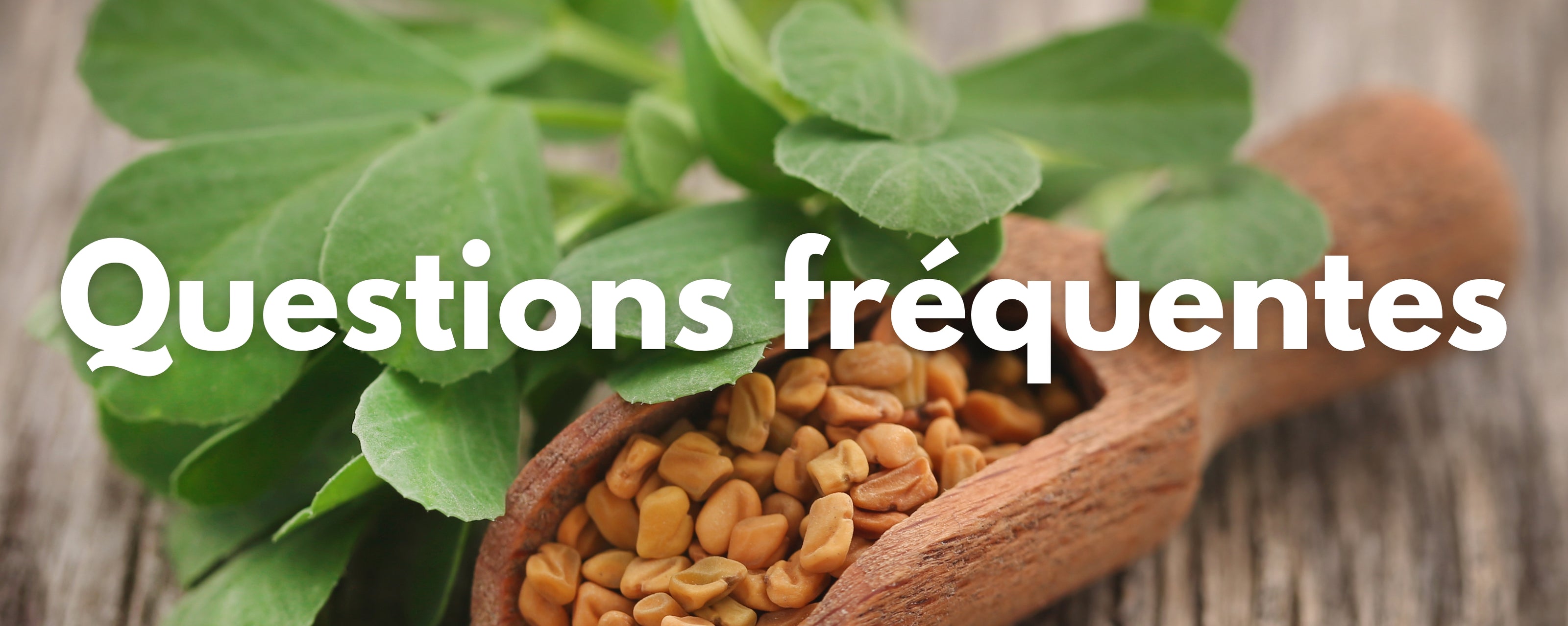 Questions fréquentes huile de fenugrec