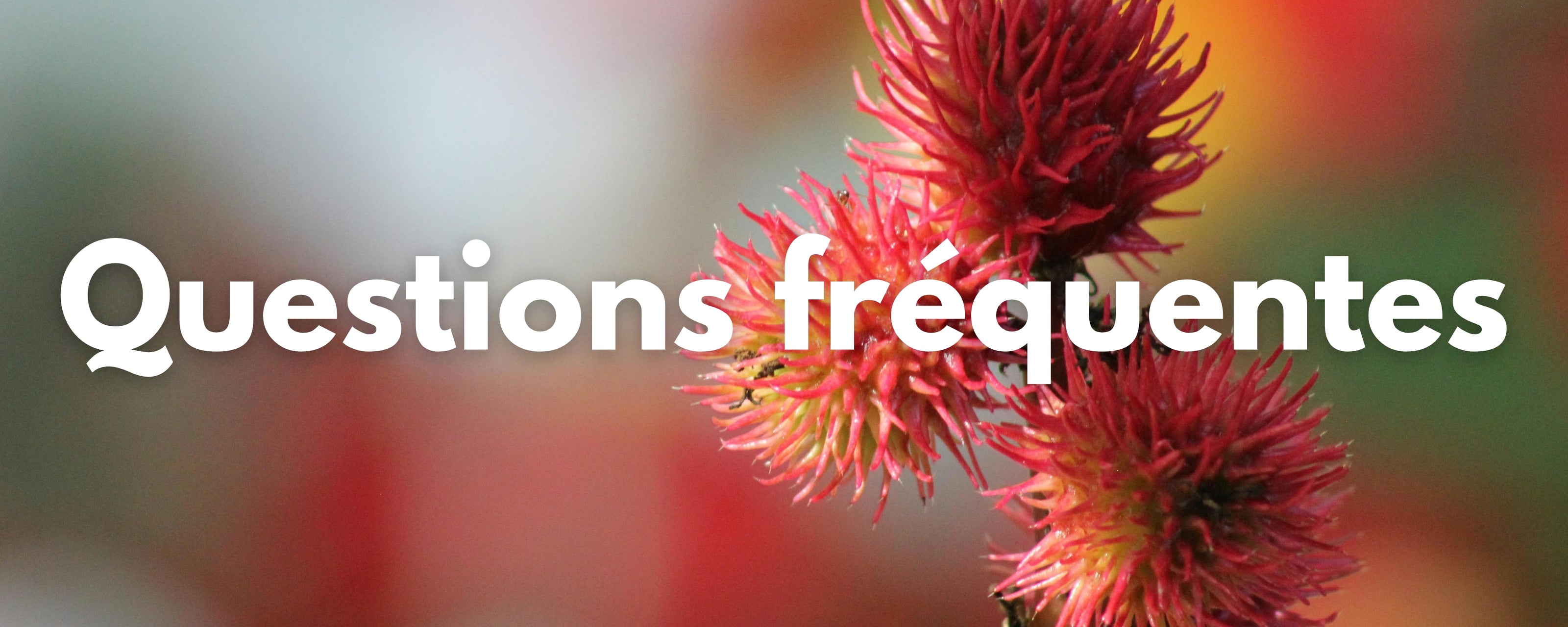 Questions fréquentes huile de ricin