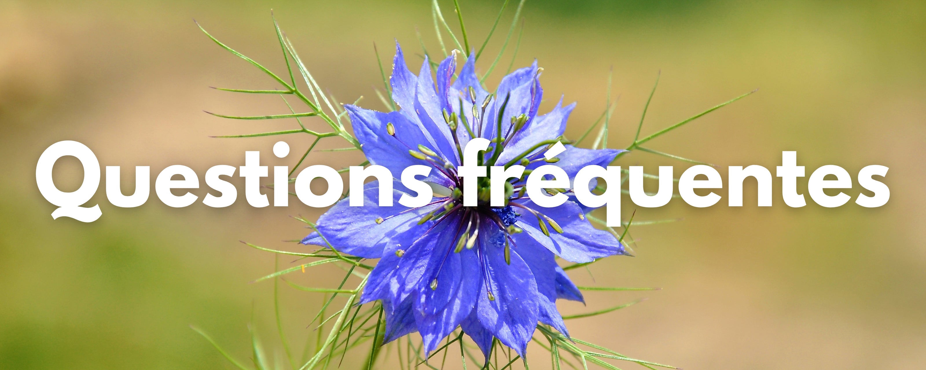 Questions fréquentes savon à l'huile de nigelle