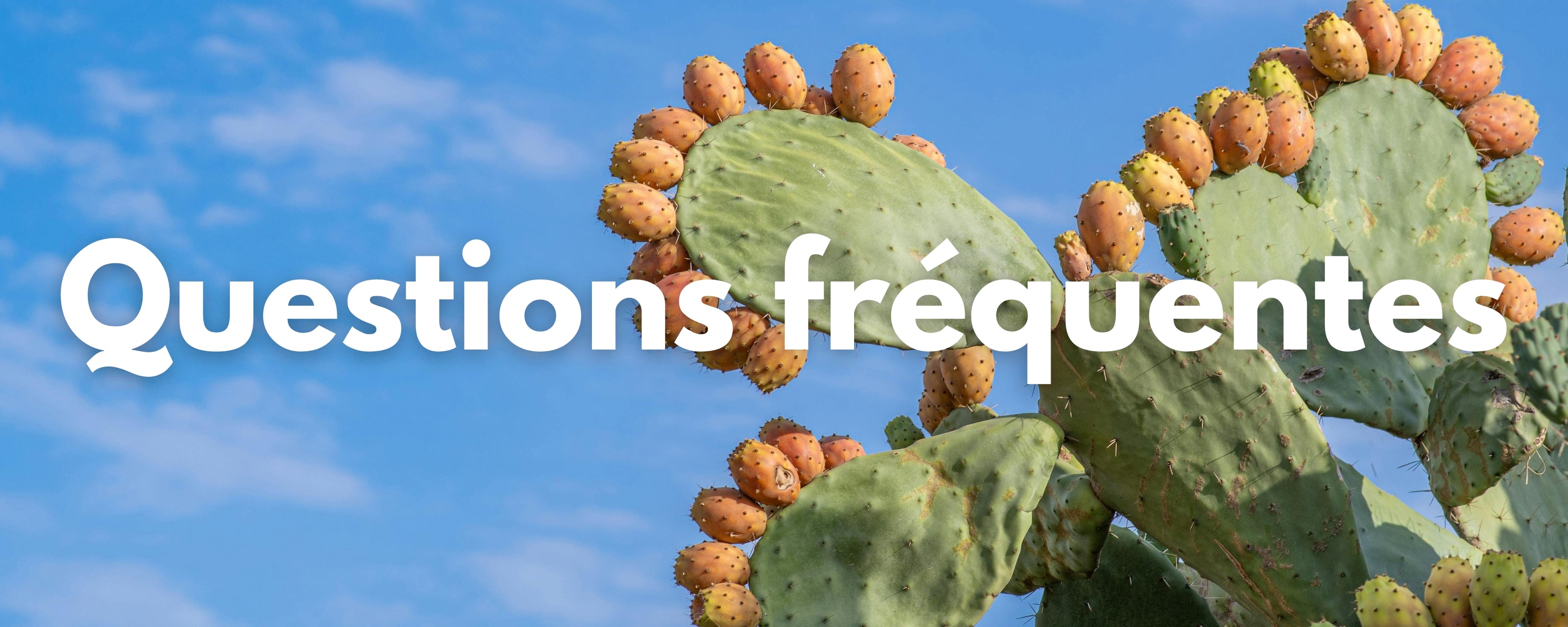 Questions fréquentes savon à la graine de figue de barbarie